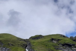 350x250_278107954_350203527146077_1690084130776407551_n.jpg