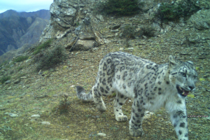 DoFSC_WWF_Nepal.png