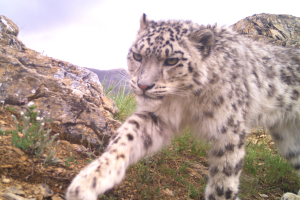 DoFSC_WWF_Nepal_(2).png